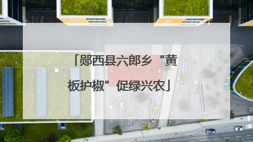 郧西县六郎乡“黄板护椒”促绿兴农